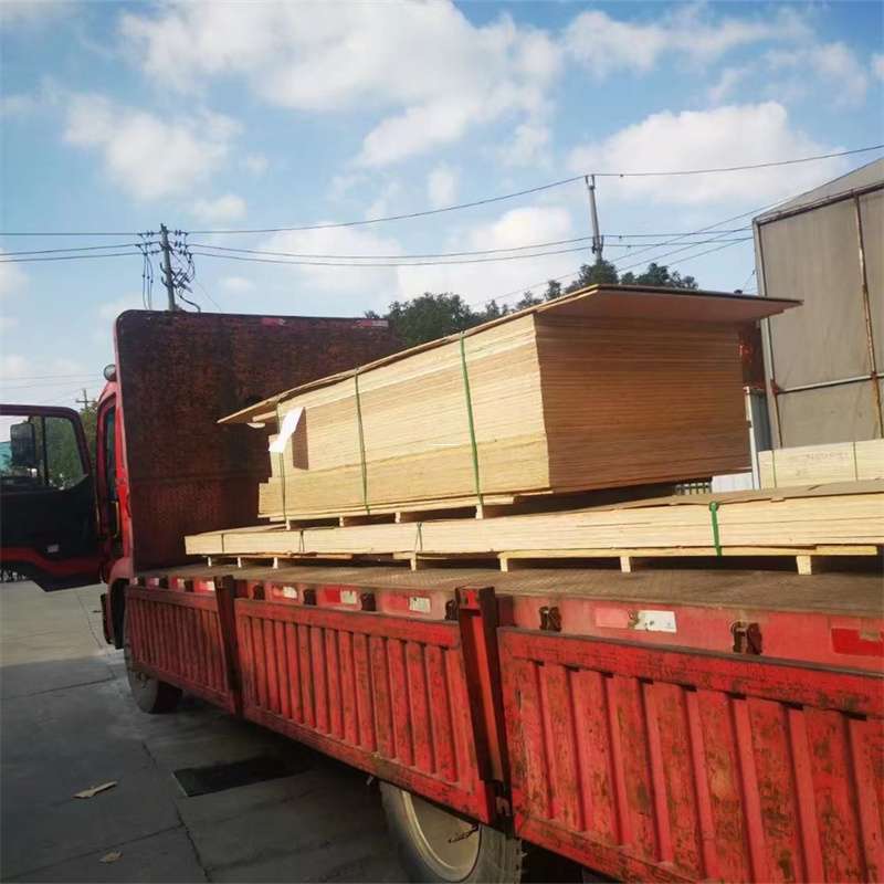 内蒙古巴彦淖尔乌拉特后旗至大丰物流公司，专业货运服务助您成功